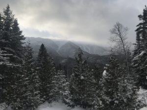 Mystérieux Mont Albert
