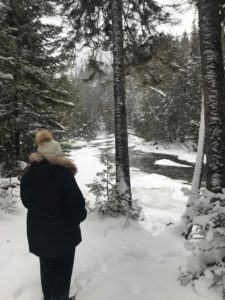 En contemplation de la nature